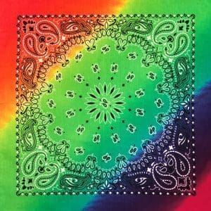B22PAI-100046-Rainbow-Paisley